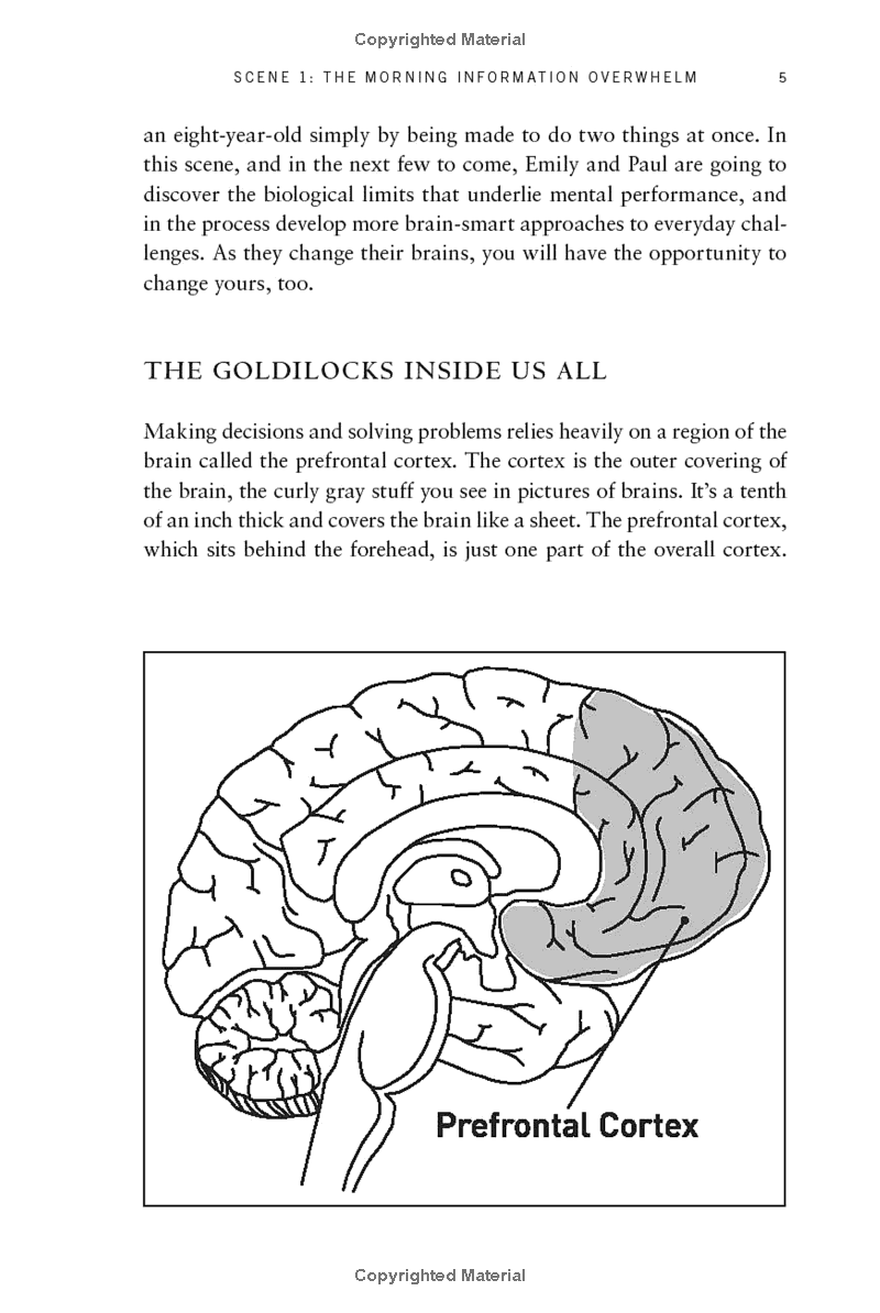 Your Brain At Work, Revised And Updated - FAHASA.COM