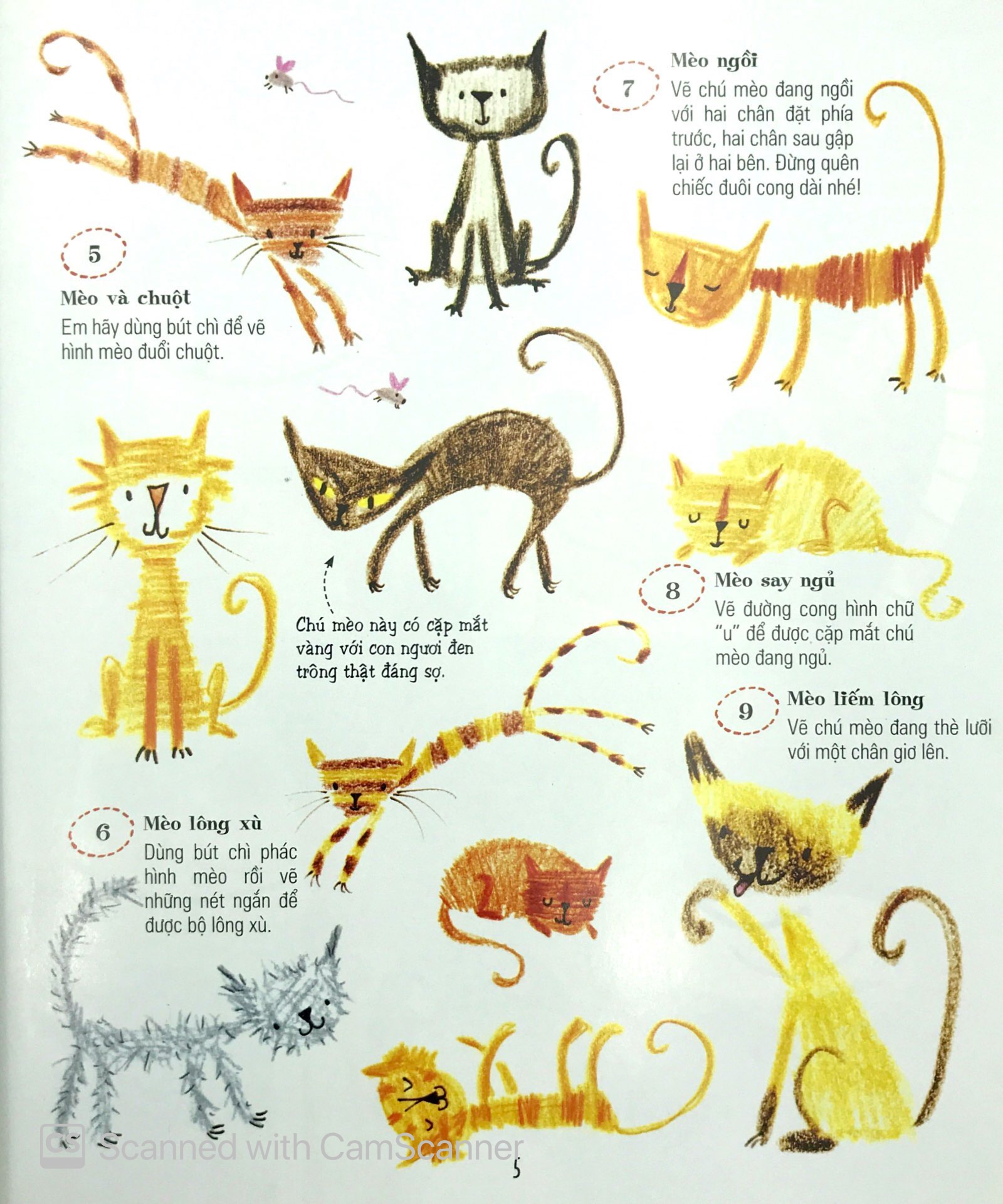 1000 ý tưởng sáng tạo T1 - Biến cái không thể thành có thể