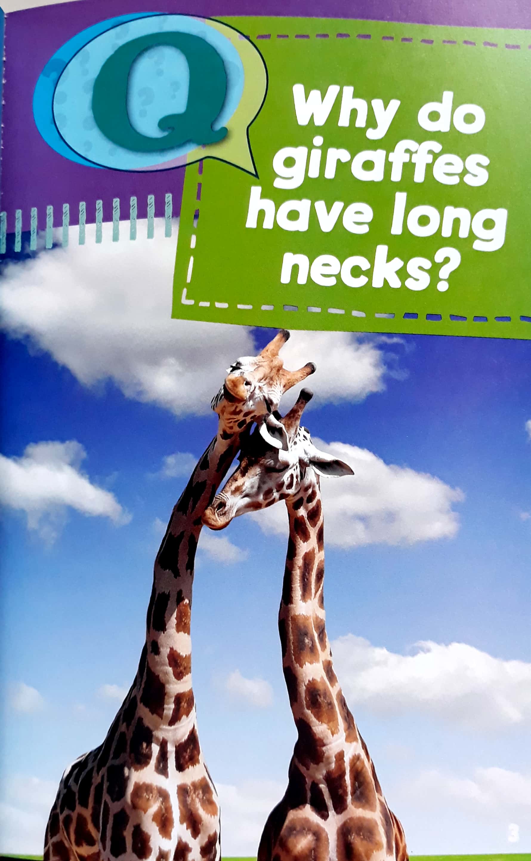 20 Questions 2 Why Do Zebras Have Stripes?