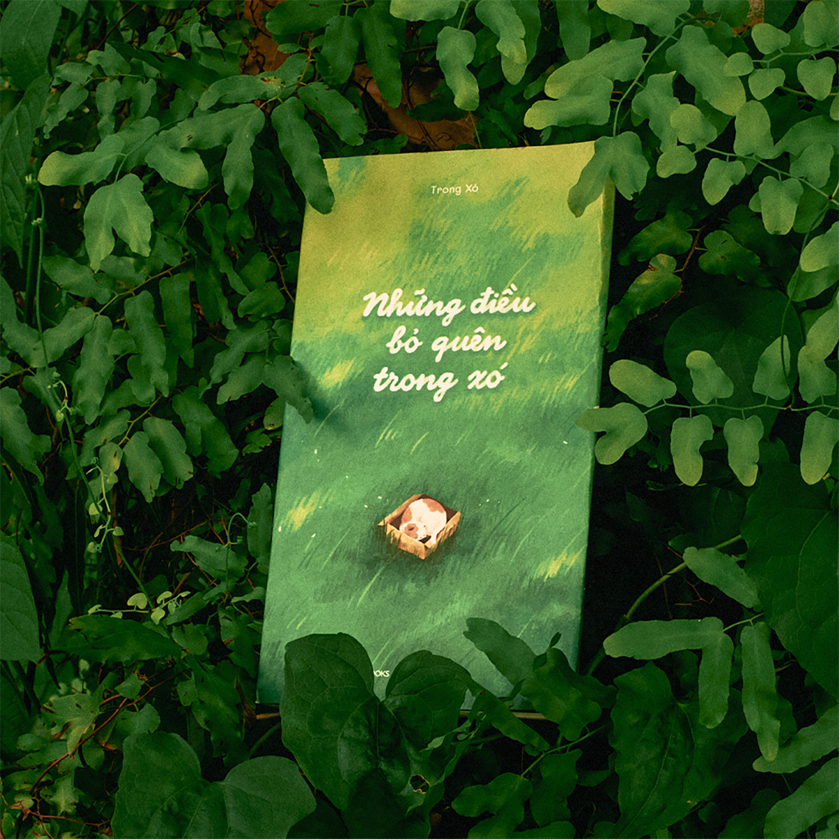 Những Điều Bỏ Quên Trong Xó PDF Những Điều Bỏ Quên Trong Xó PDF
