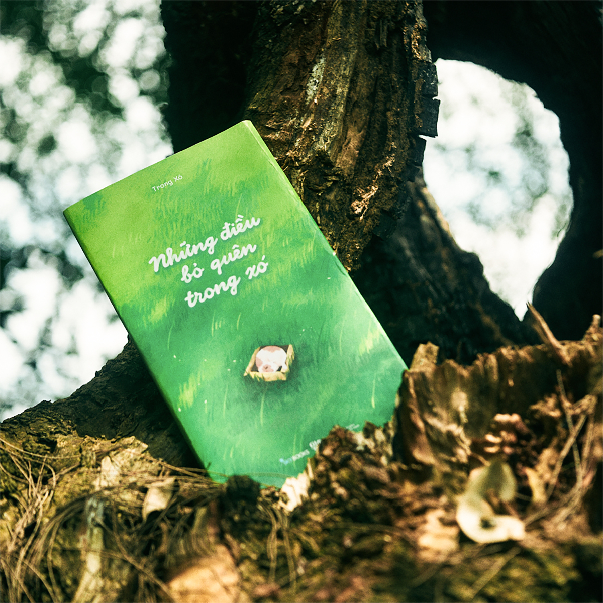 Những Điều Bỏ Quên Trong Xó PDF Những Điều Bỏ Quên Trong Xó PDF