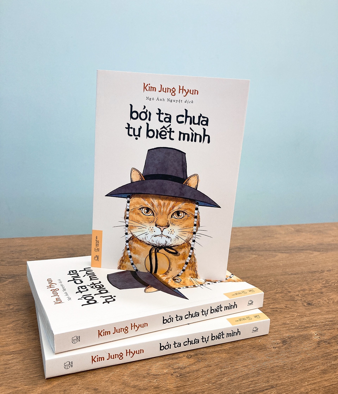 Bởi Ta Chưa Tự Biết Mình PDF Bởi Ta Chưa Tự Biết Mình PDF