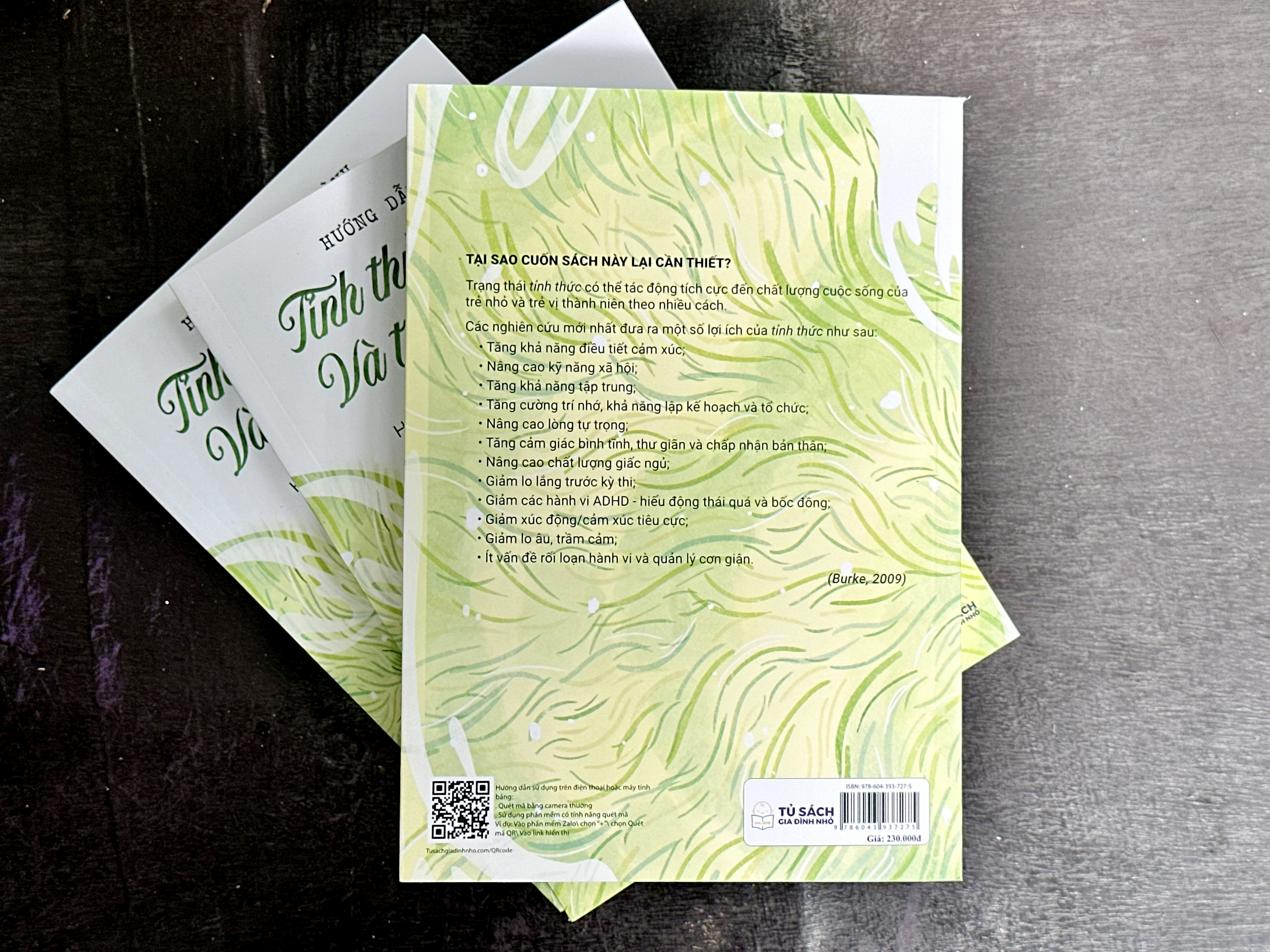 Hướng Dẫn Thực Hành Tỉnh Thức Cho Trẻ Nhỏ Và Trẻ Vị Thành Niên PDF đọc ebook online, epub online, nghe sách nói audio miễn phí. Hướng Dẫn Thực Hành Tỉnh Thức Cho Trẻ Nhỏ Và Trẻ Vị Thành Niên PDF đọc ebook online, epub online, nghe sách nói audio miễn phí.