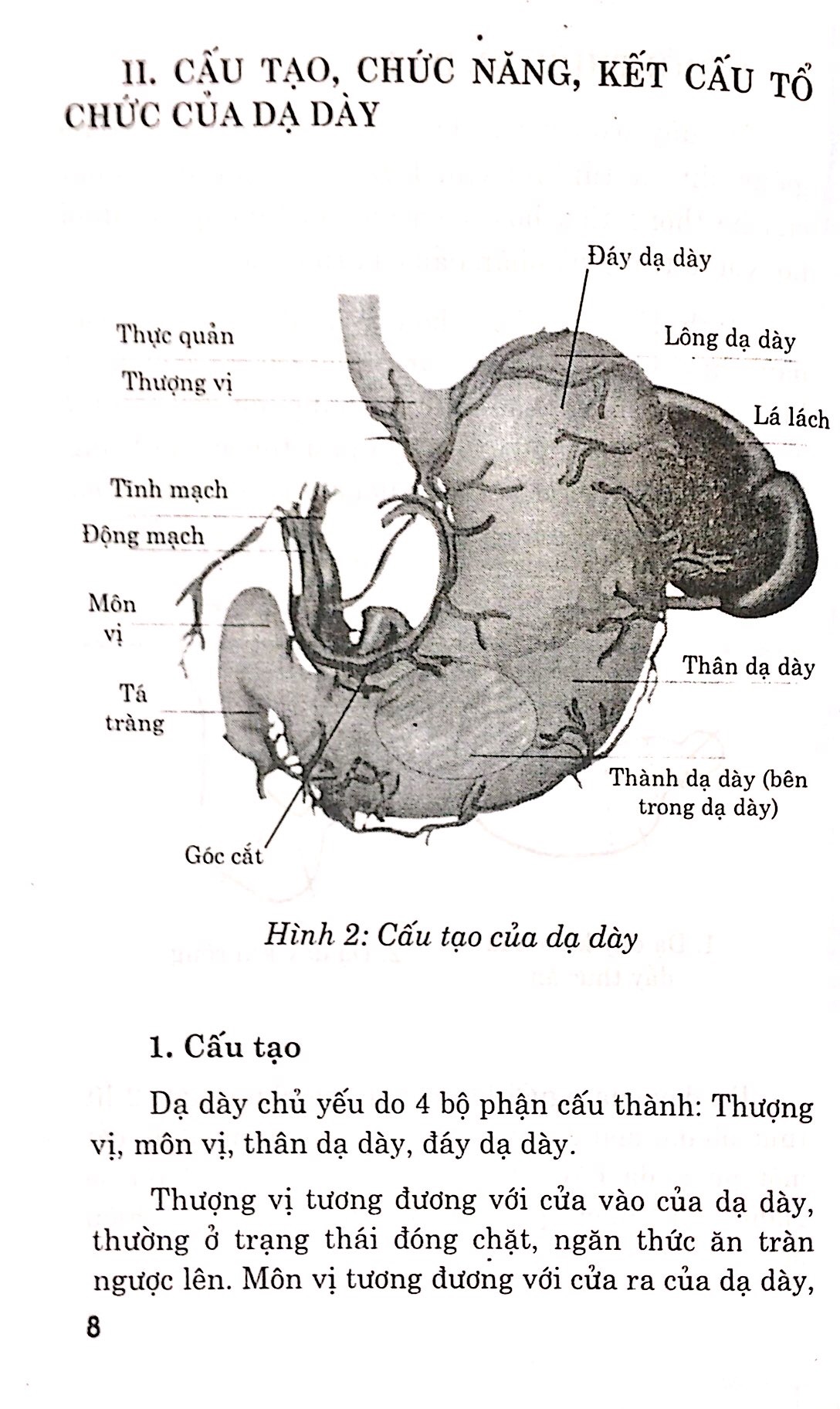Bệnh Dạ Dày - Chế Độ Ăn Uống Và Luyện Tập PDF