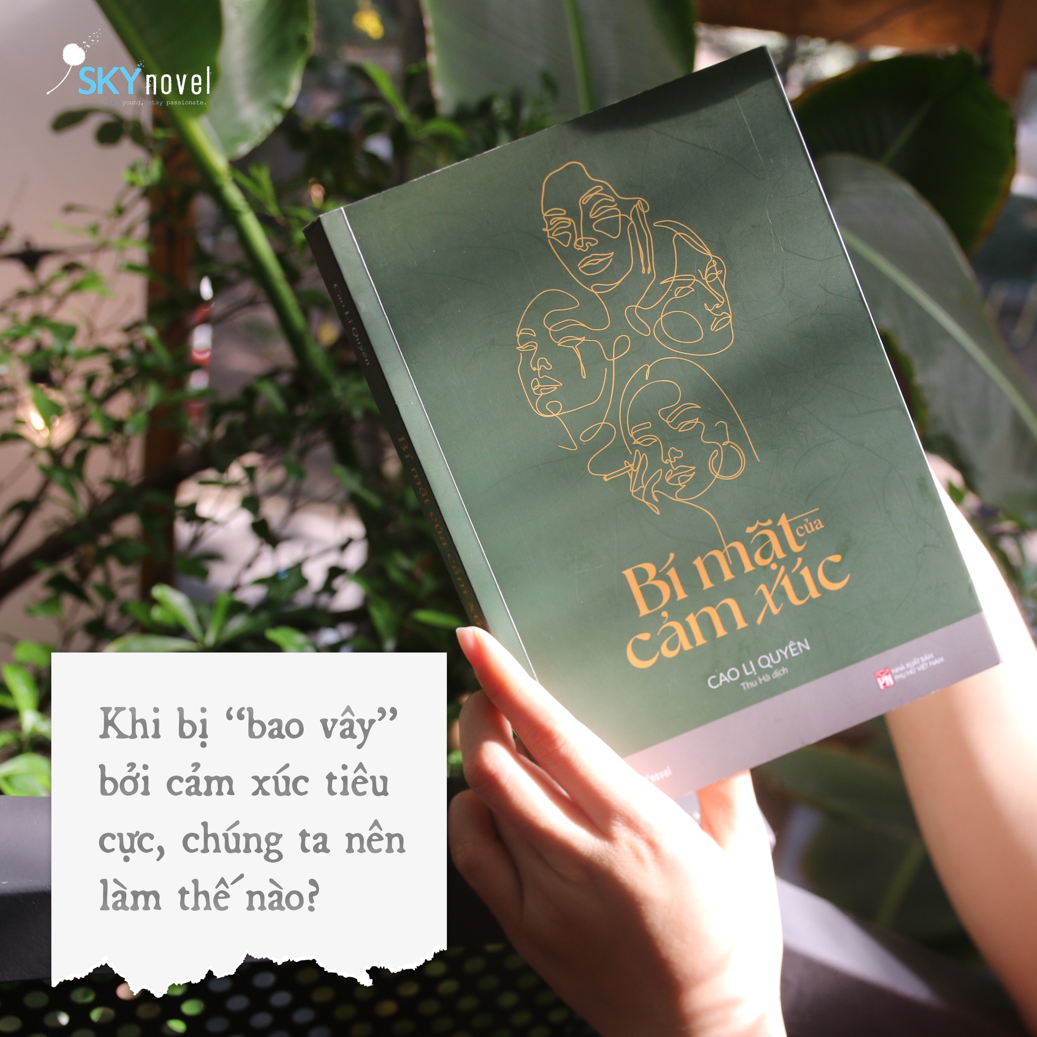 Bí Mật Của Cảm Xúc PDF Bí Mật Của Cảm Xúc PDF