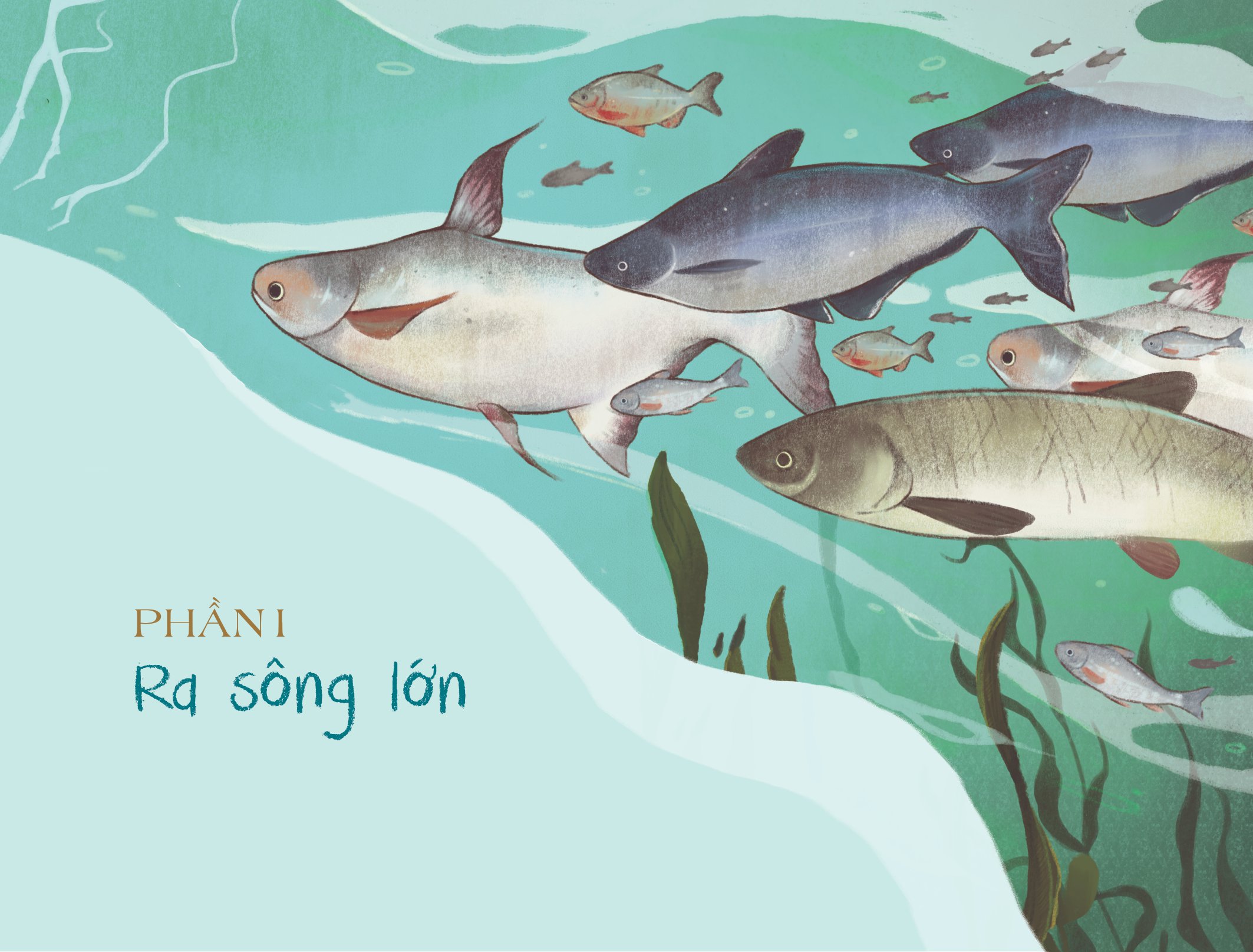 Sách Cá Linh Đi Học - FAHASA.COM