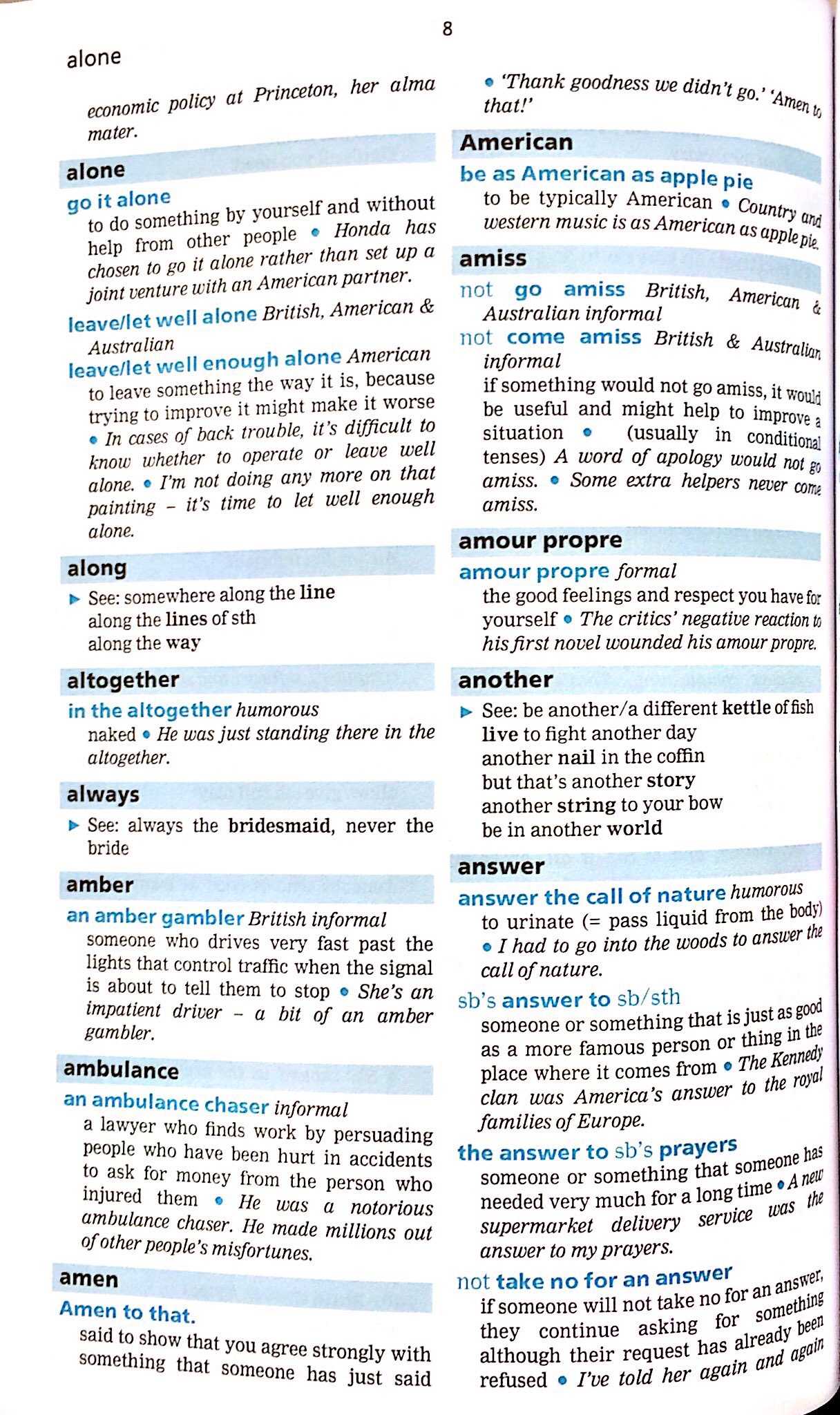 Cambridge Idioms Dictionary