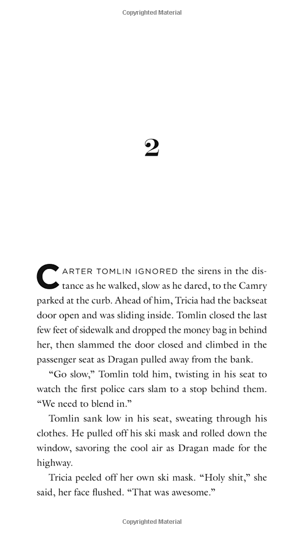 criminal enterprise starter pack что это