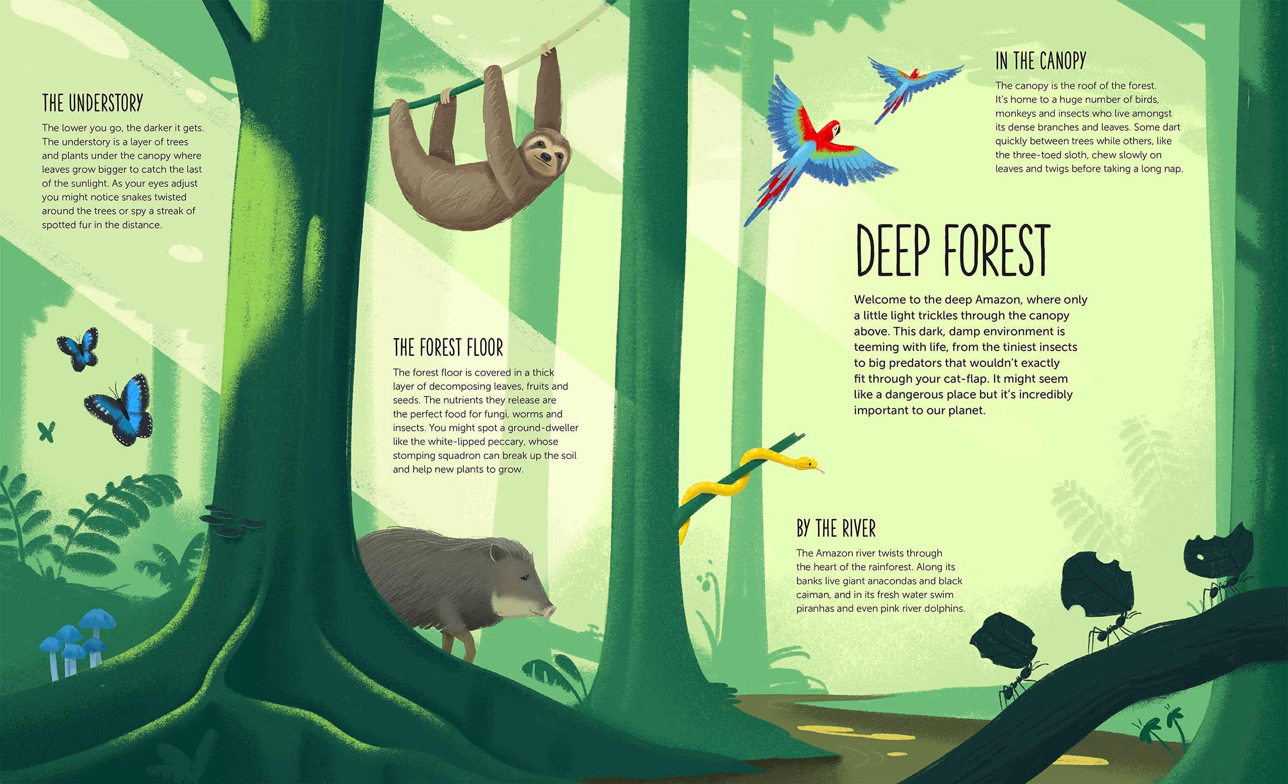 Deep Dive Into Hidden Worlds(00)