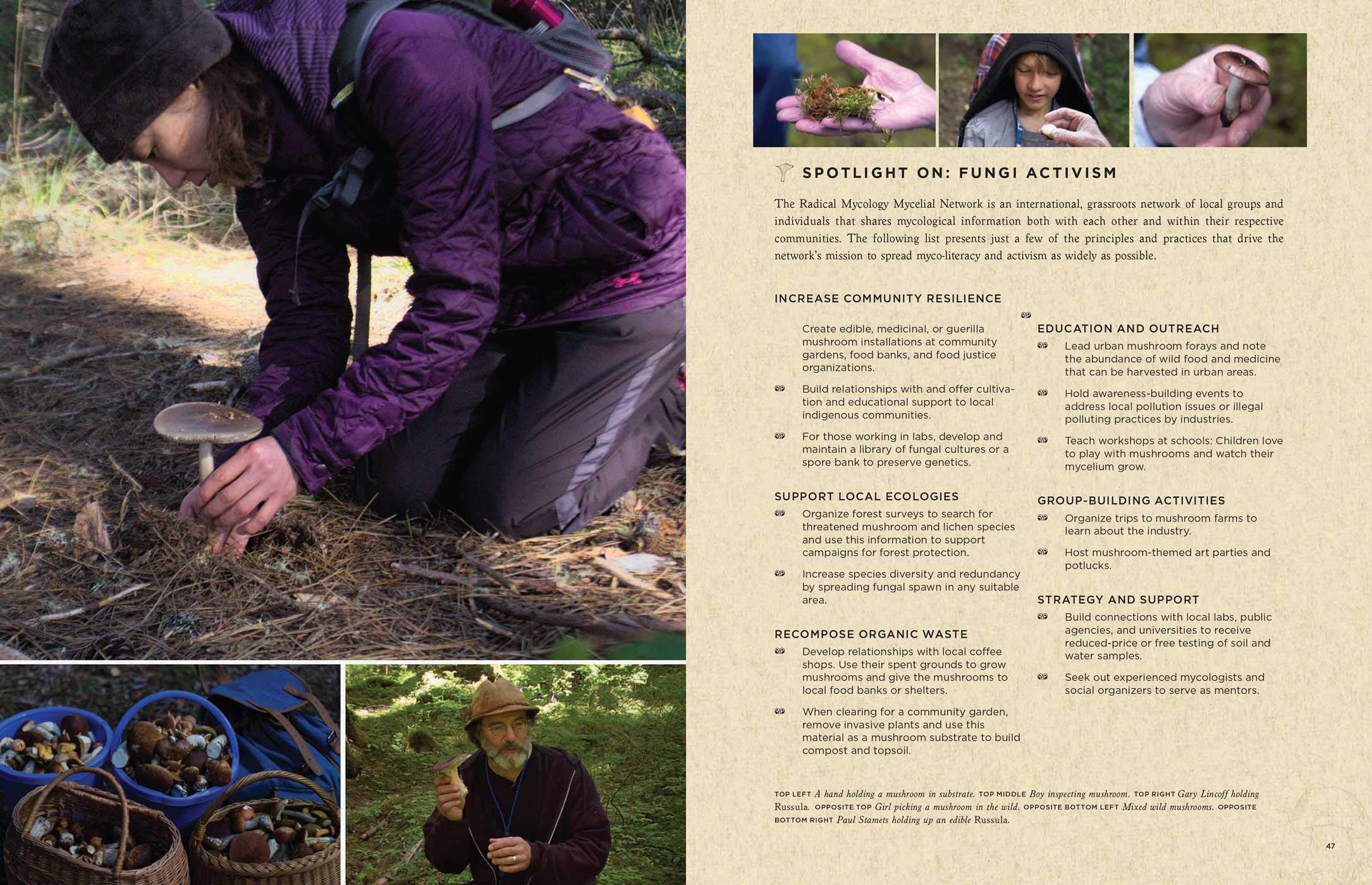 Fantastic Fungi How Mushrooms Can Heal, Shift Consciousness, And Save