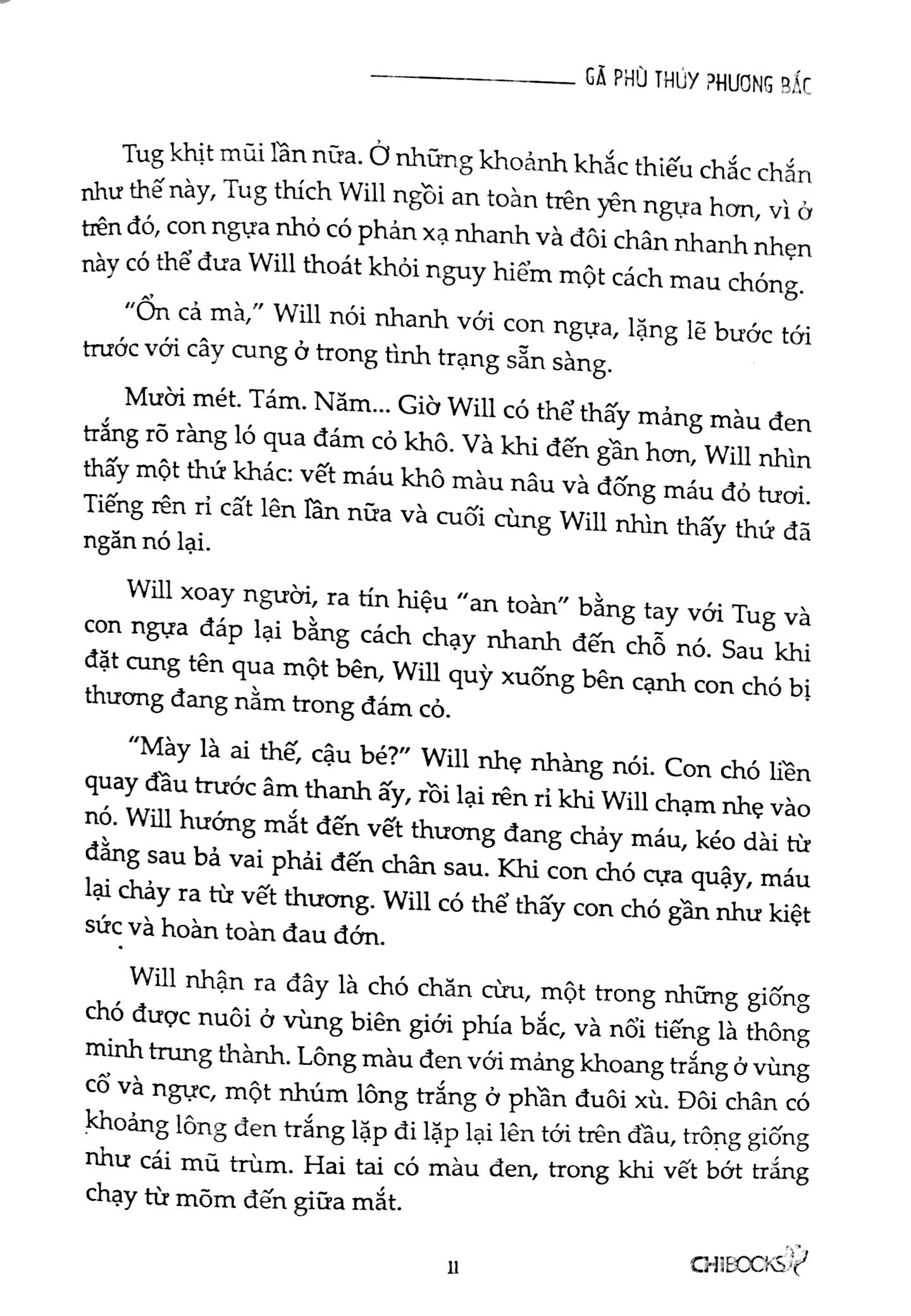 Bộ Gã Phù Thủy Phương Bắc - Phần 5 Series Người Học Việc Của Đội Biệt Kích PDF