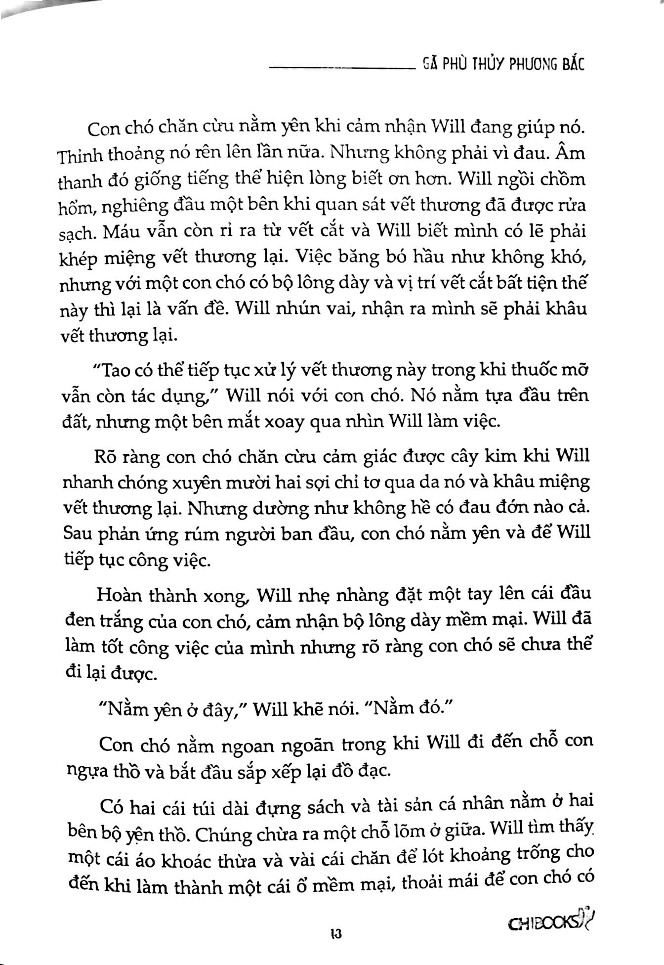 Bộ Gã Phù Thủy Phương Bắc - Phần 5 Series Người Học Việc Của Đội Biệt Kích PDF