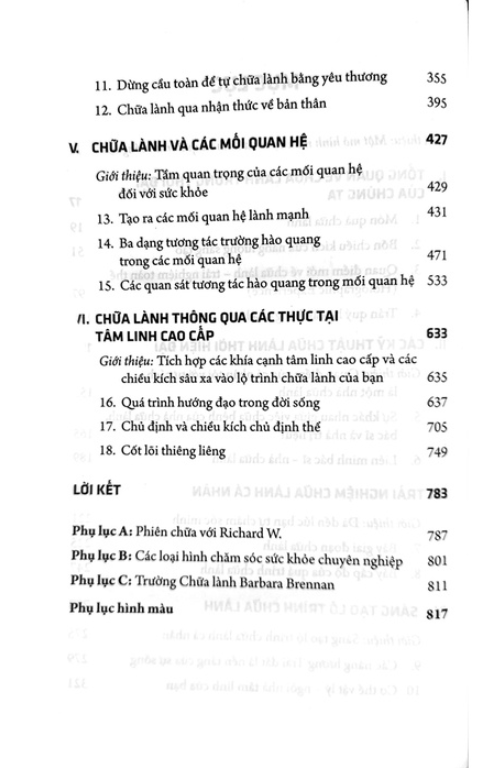 Hiện Hình Ánh Sáng – Hành Trình Chữa Lành Cá Nhân - Hình 2