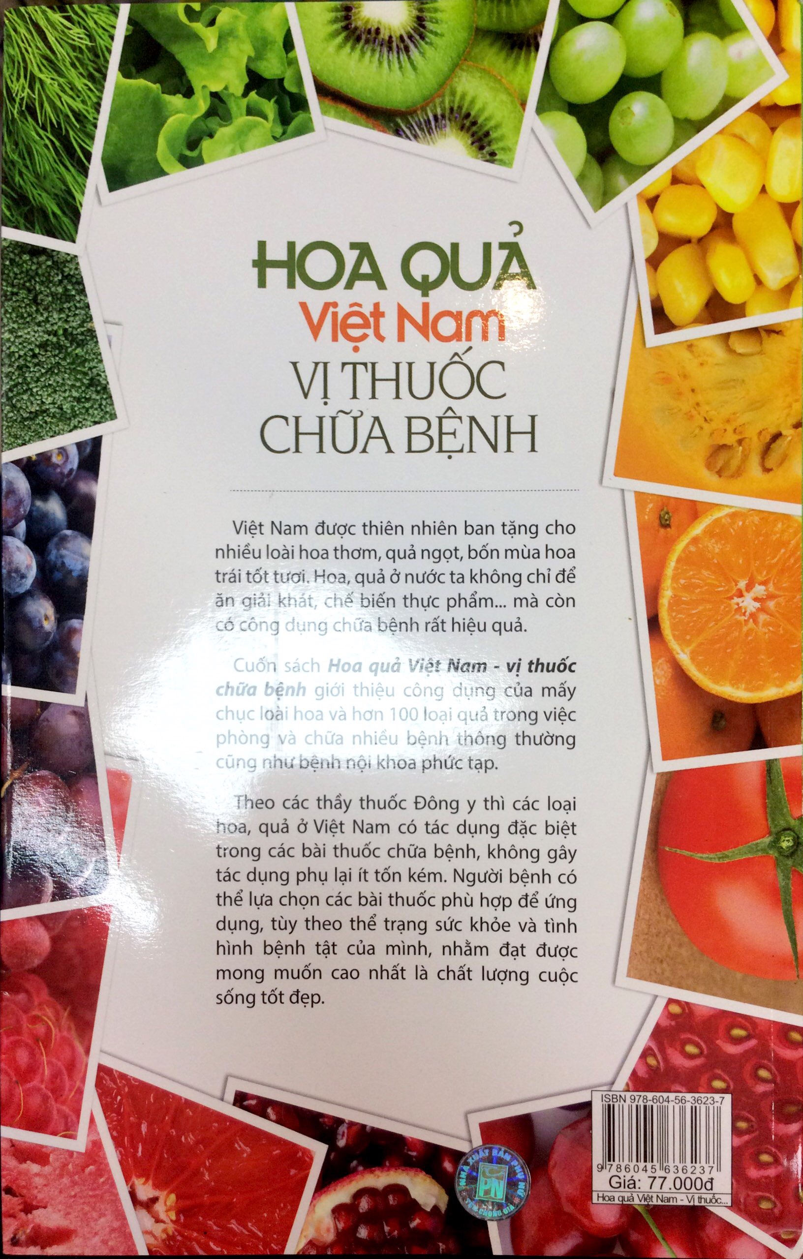 Hoa Quả Việt Nam Vị Thuốc Chữa Bệnh PDF