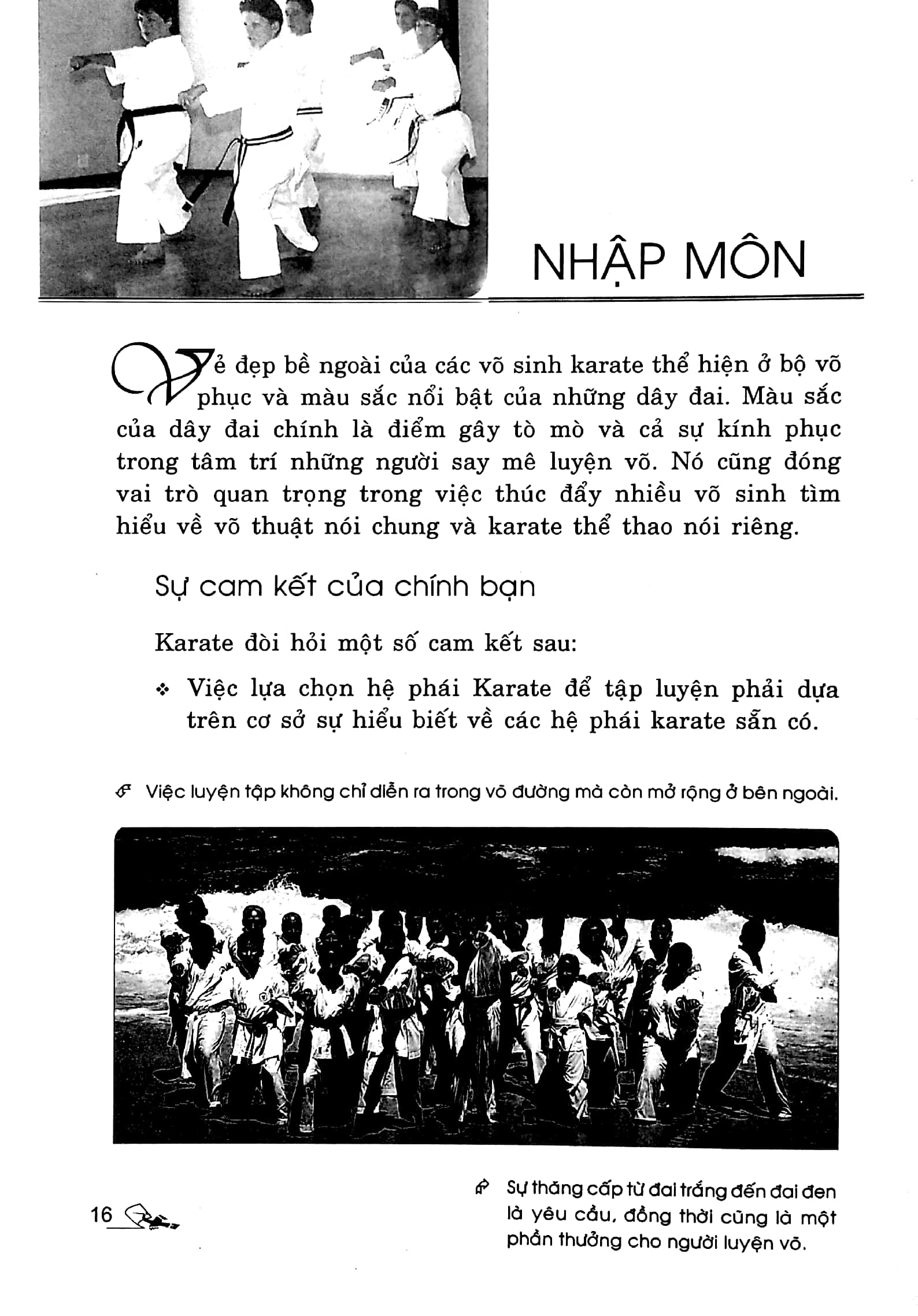 Hướng Dẫn Tập Luyện Karate Bằng Hình Ảnh PDF Hướng Dẫn Tập Luyện Karate Bằng Hình Ảnh PDF