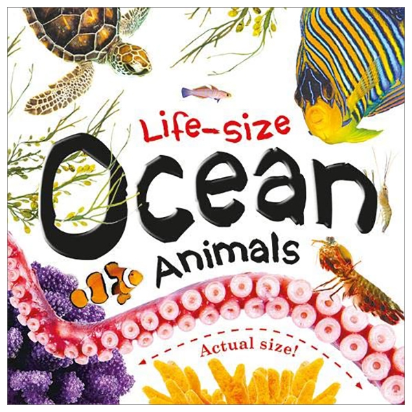 Life-size: Ocean Animals (Life-size Boards) - FAHASA.COM