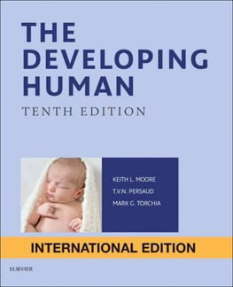 The Developing Human : Clinically Oriented Embryology