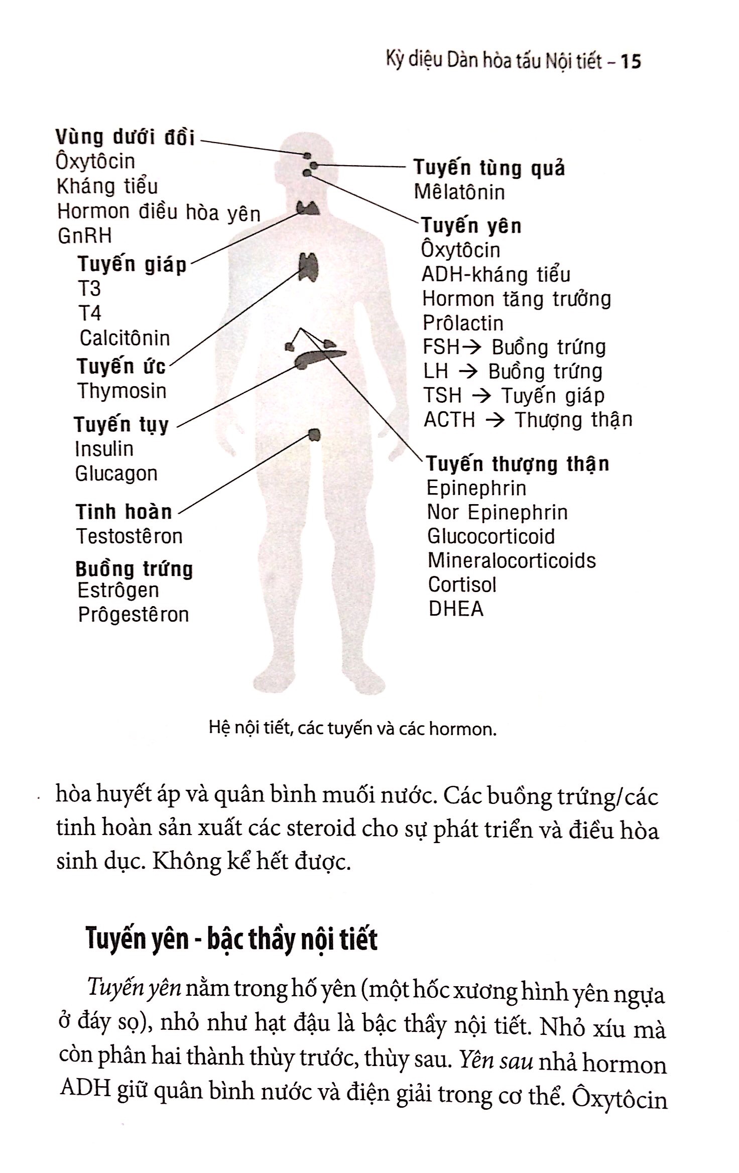 Kỳ Diệu Dàn Hòa Tấu Nội Tiết 2018 PDF