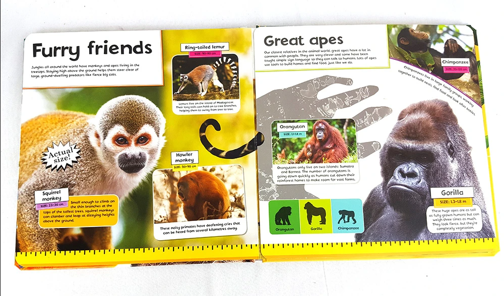 Lifesize Jungle Animals