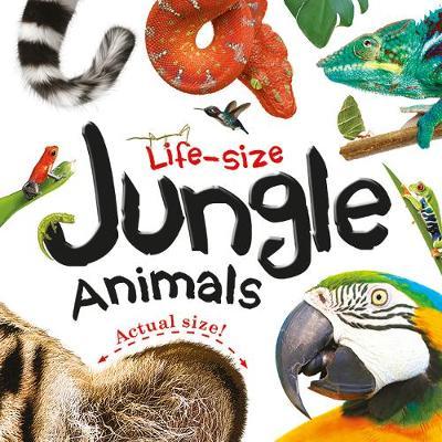 Life-size: Jungle Animals - FAHASA.COM
