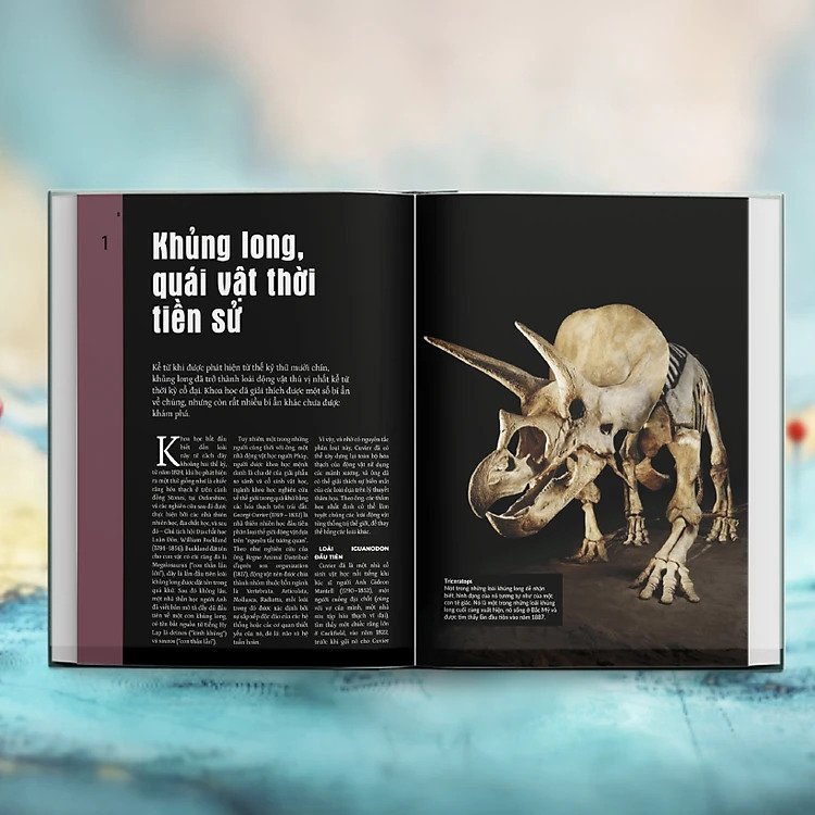 Mysteries In History - Bí Ẩn Của Lịch Sử PDF