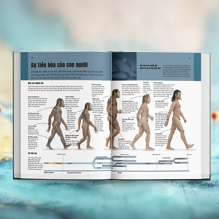 Mysteries In History - Bí Ẩn Của Lịch Sử PDF