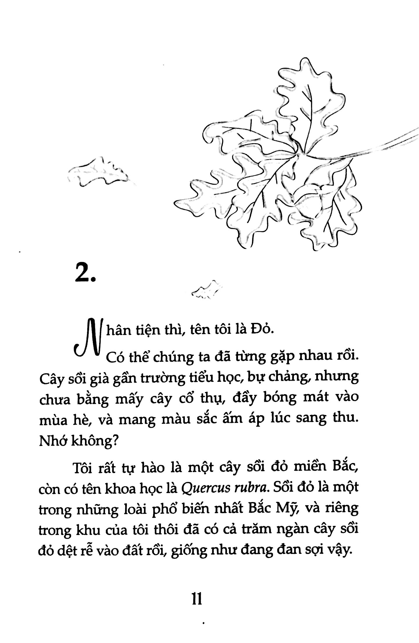 Tải sách Nguyện Ước Tháng Năm(Tái Bản 2018) - Dành Cho 13+ PDF đọc ebook online, epub online, nghe sách nói audio miễn phí.