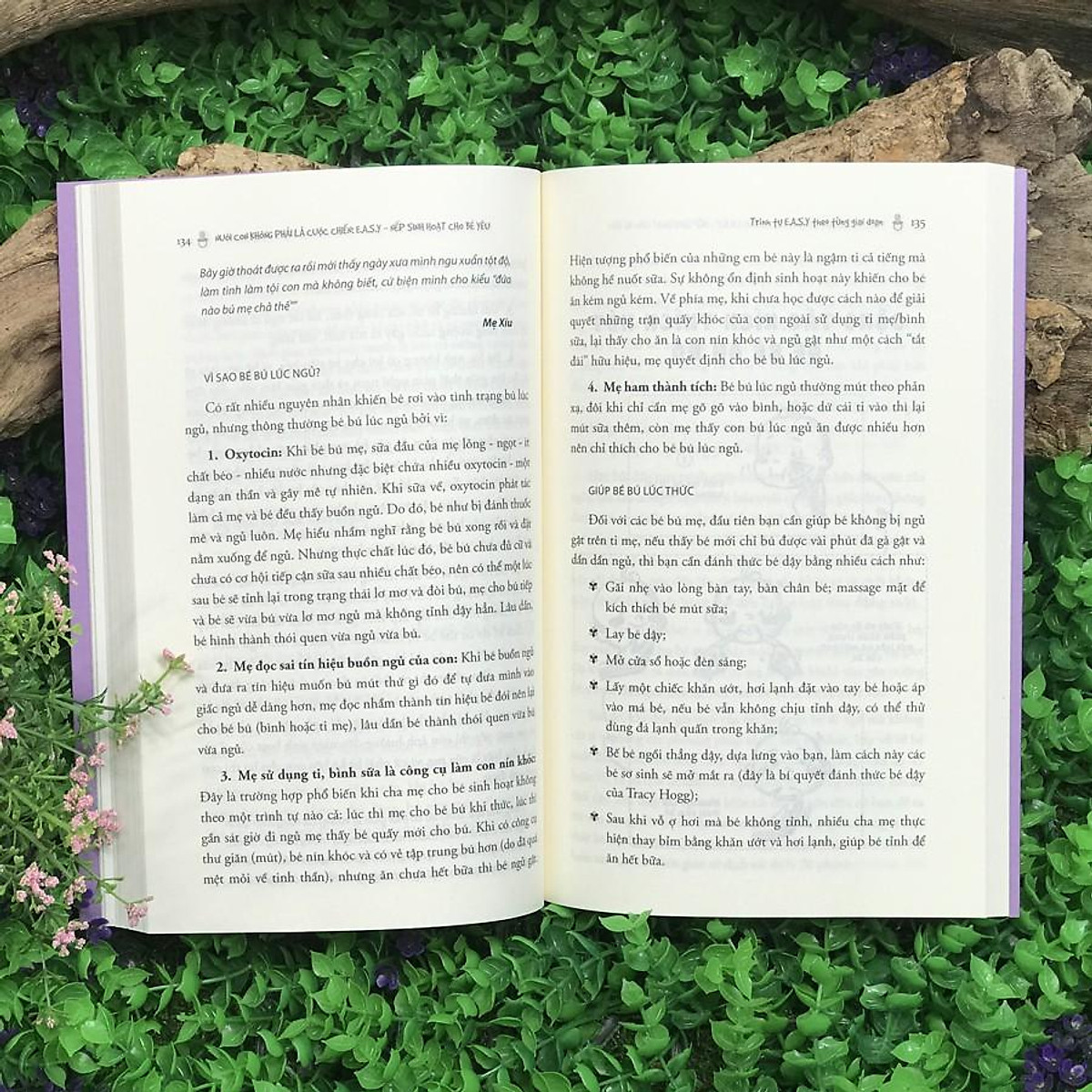 Bộ Nuôi Con Không Phải Là Cuộc Chiến 2 - E.A.S.Y - Nếp Sinh Hoạt Cho Bé Yêu PDF Bộ Nuôi Con Không Phải Là Cuộc Chiến 2 - E.A.S.Y - Nếp Sinh Hoạt Cho Bé Yêu PDF