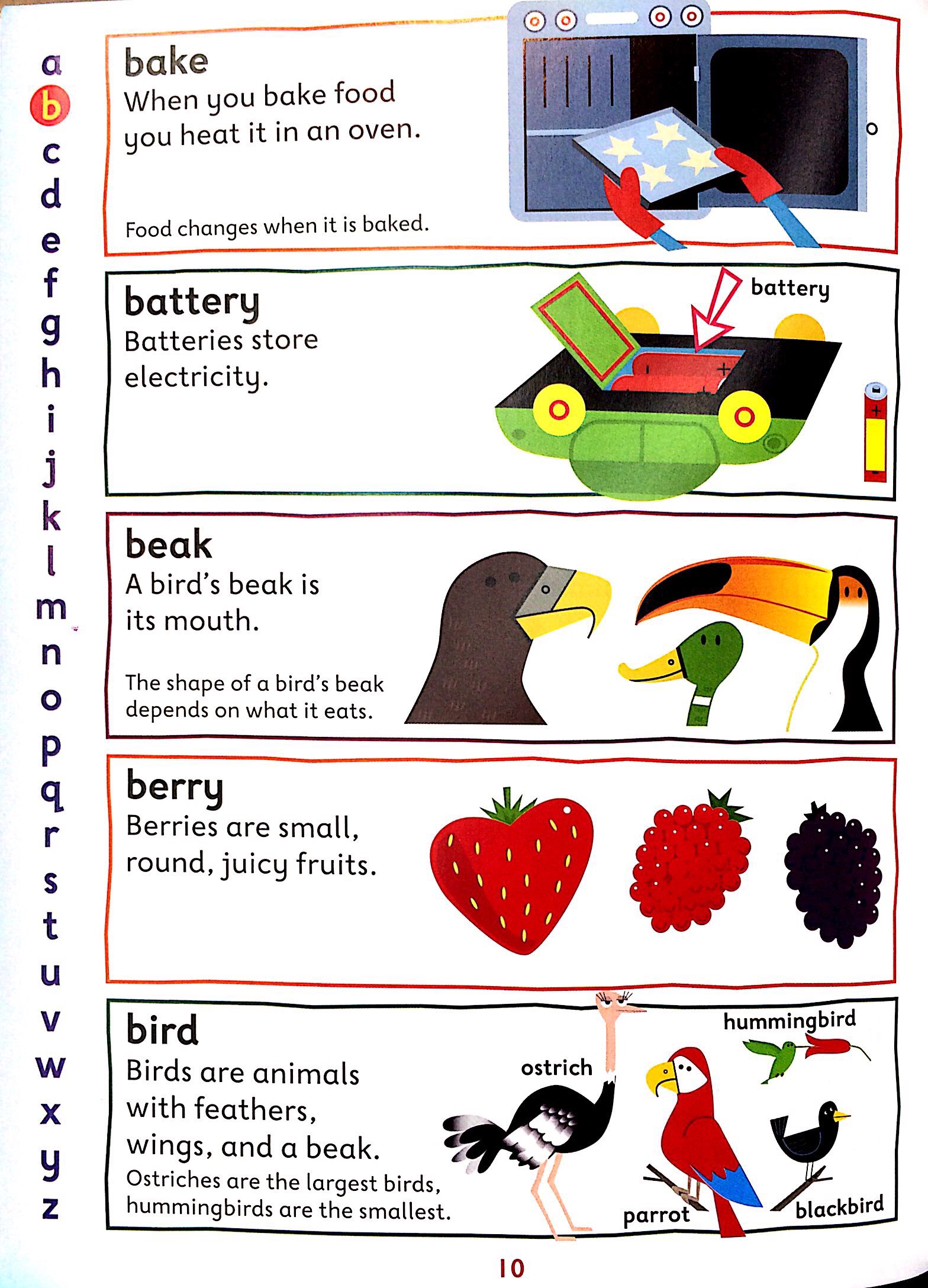 Oxford First Illustrated Science Dictionary