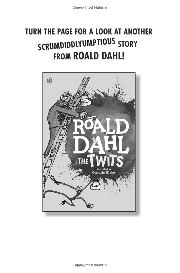 PENGUIN PUTNAM INC JAMES AND THE GIANT PEACH (Set of 12)