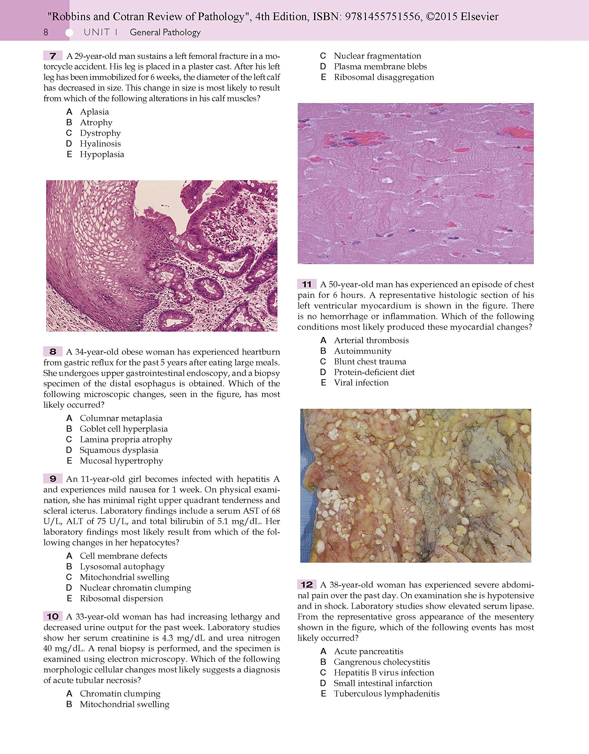 Robbins and cotran review of pathology fahasa com