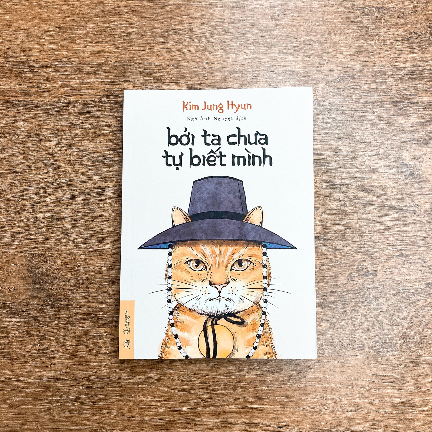 Bởi Ta Chưa Tự Biết Mình PDF Bởi Ta Chưa Tự Biết Mình PDF