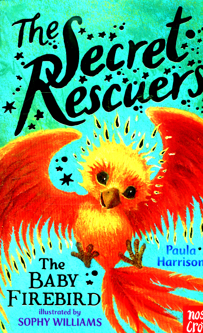 SECRET RESCUERS: BABY FIREBIRD