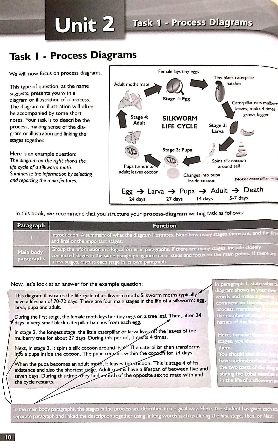 Succeed in ielts writing pdf t khai y t 