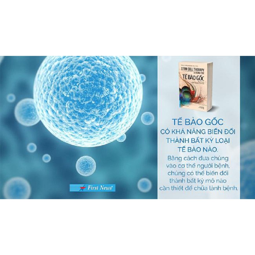 Tế Bào Gốc - Bí Mật Của Suối Nguồi Tươi Trẻ PDF