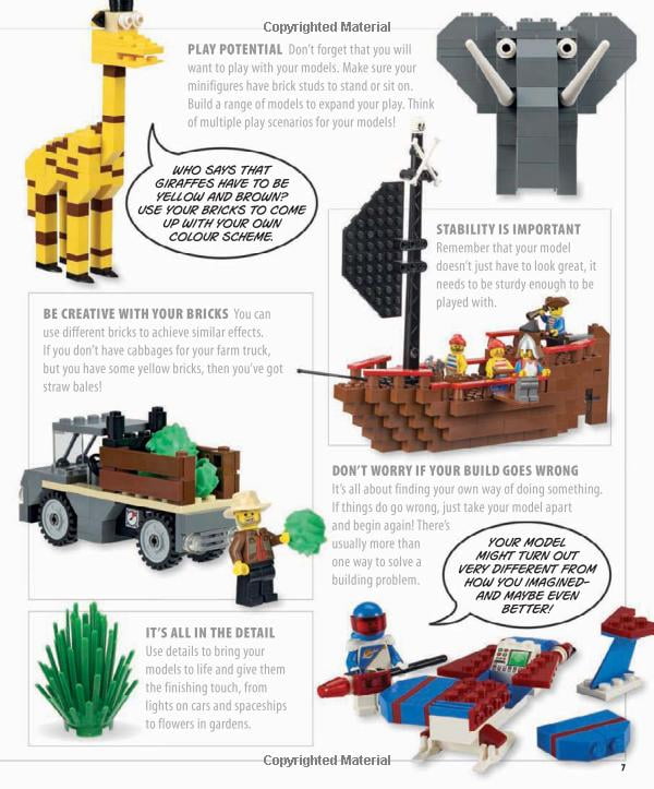 The Lego Ideas Book.
