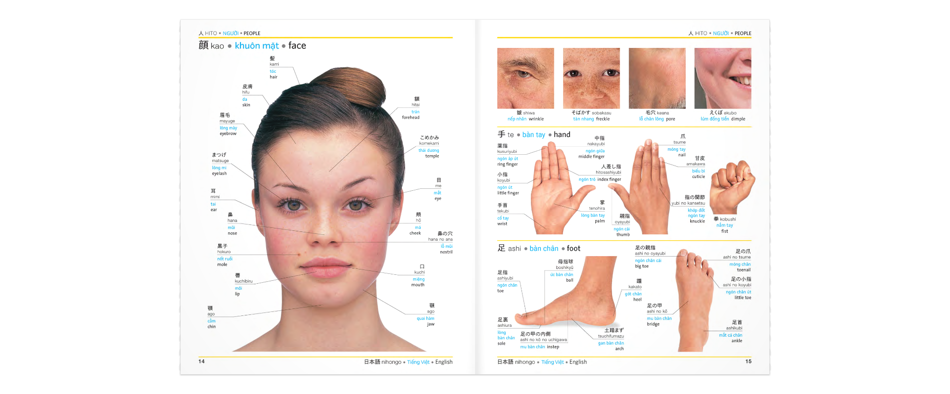 Tải sách Trilingual Visual Dictionary - Japanese-Vietnamese-English PDF đọc ebook online, epub online, nghe sách nói audio miễn phí.