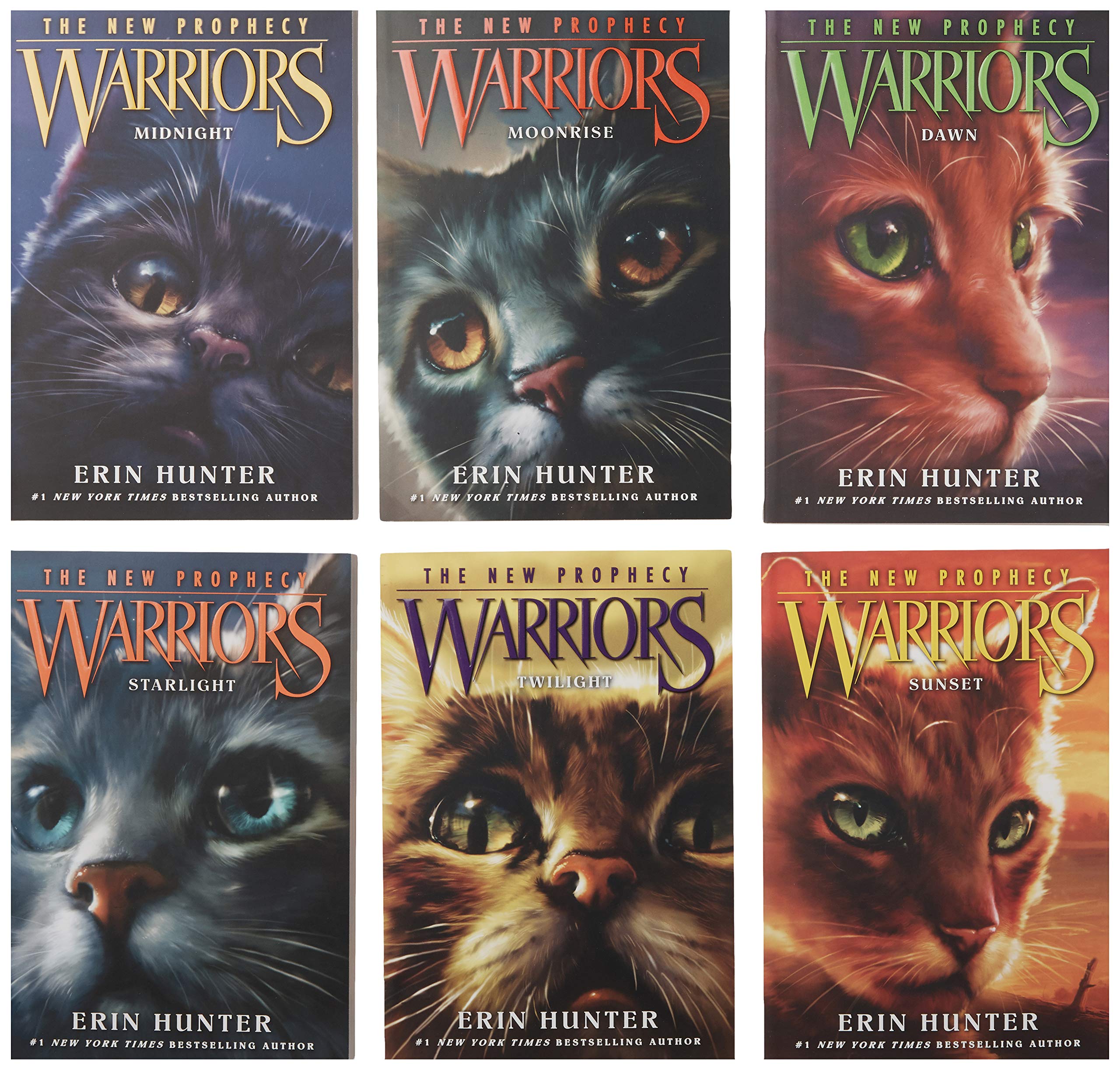 Warriors The New Prophecy Set The Complete Second Series