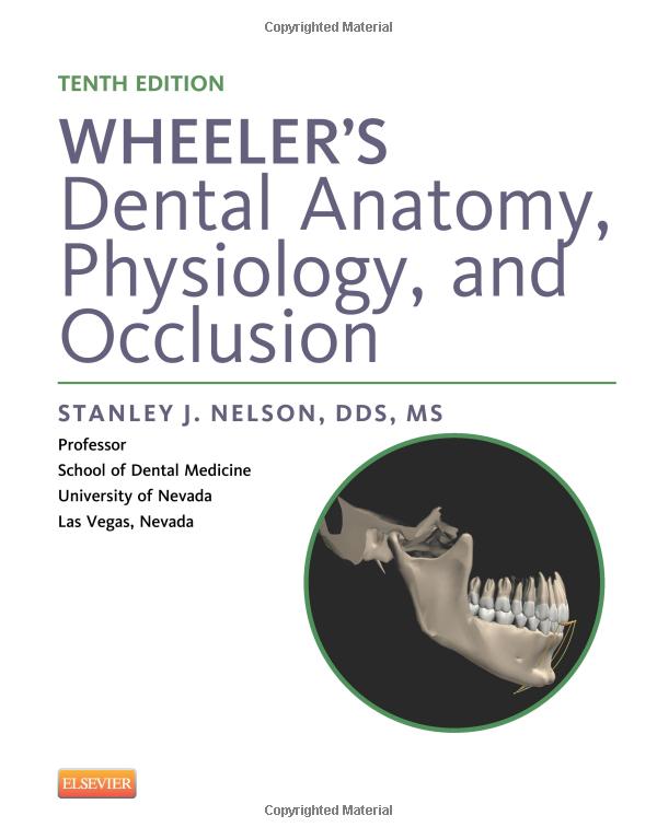 Wheeler's Dental Anatomy, Physiology and Occlusion