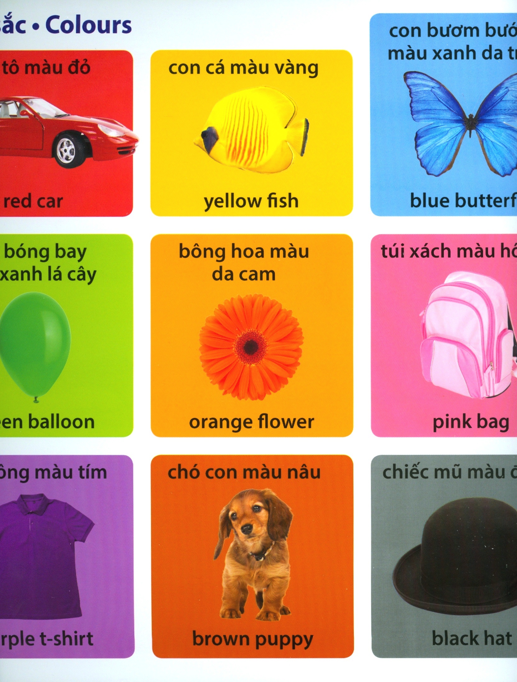 100 Từ Vựng Thiết Yếu Đầu Tiên - Song Ngữ Anh-Việt PDF 100 Từ Vựng Thiết Yếu Đầu Tiên - Song Ngữ Anh-Việt PDF