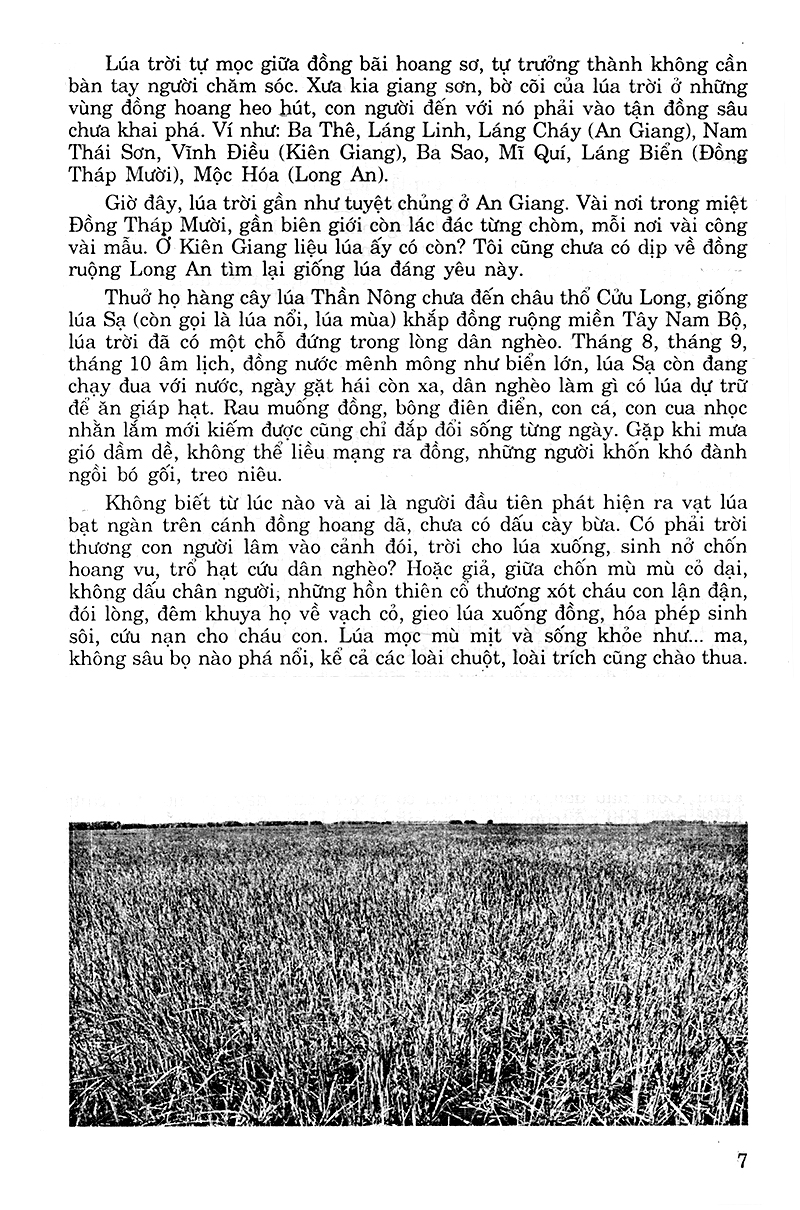Tải sách 162 Bài Văn Chọn Lọc 9 PDF đọc ebook online, epub online, nghe sách nói audio miễn phí.