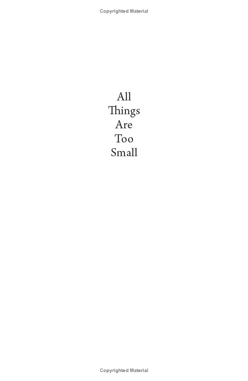 All Things Are Too Small - Essays In Praise Of Excess PDF đọc ebook online, epub online, nghe sách nói audio miễn phí.