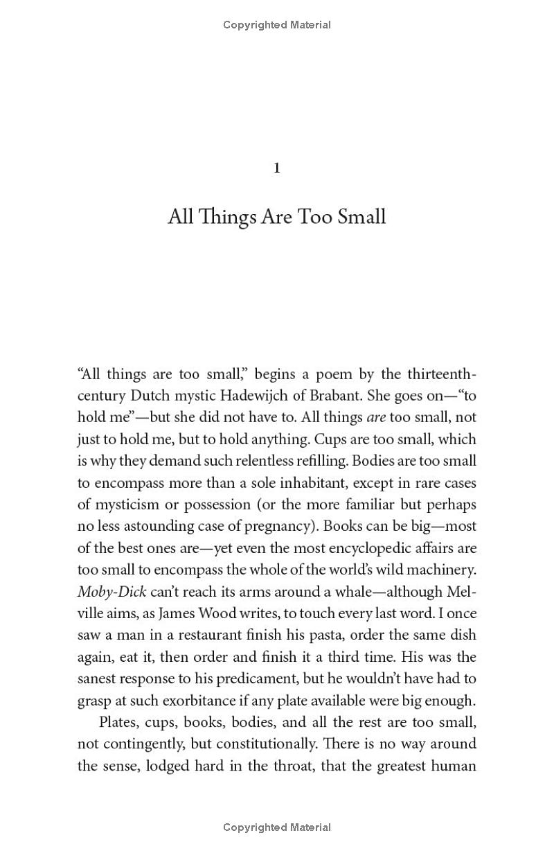 All Things Are Too Small - Essays In Praise Of Excess PDF đọc ebook online, epub online, nghe sách nói audio miễn phí.