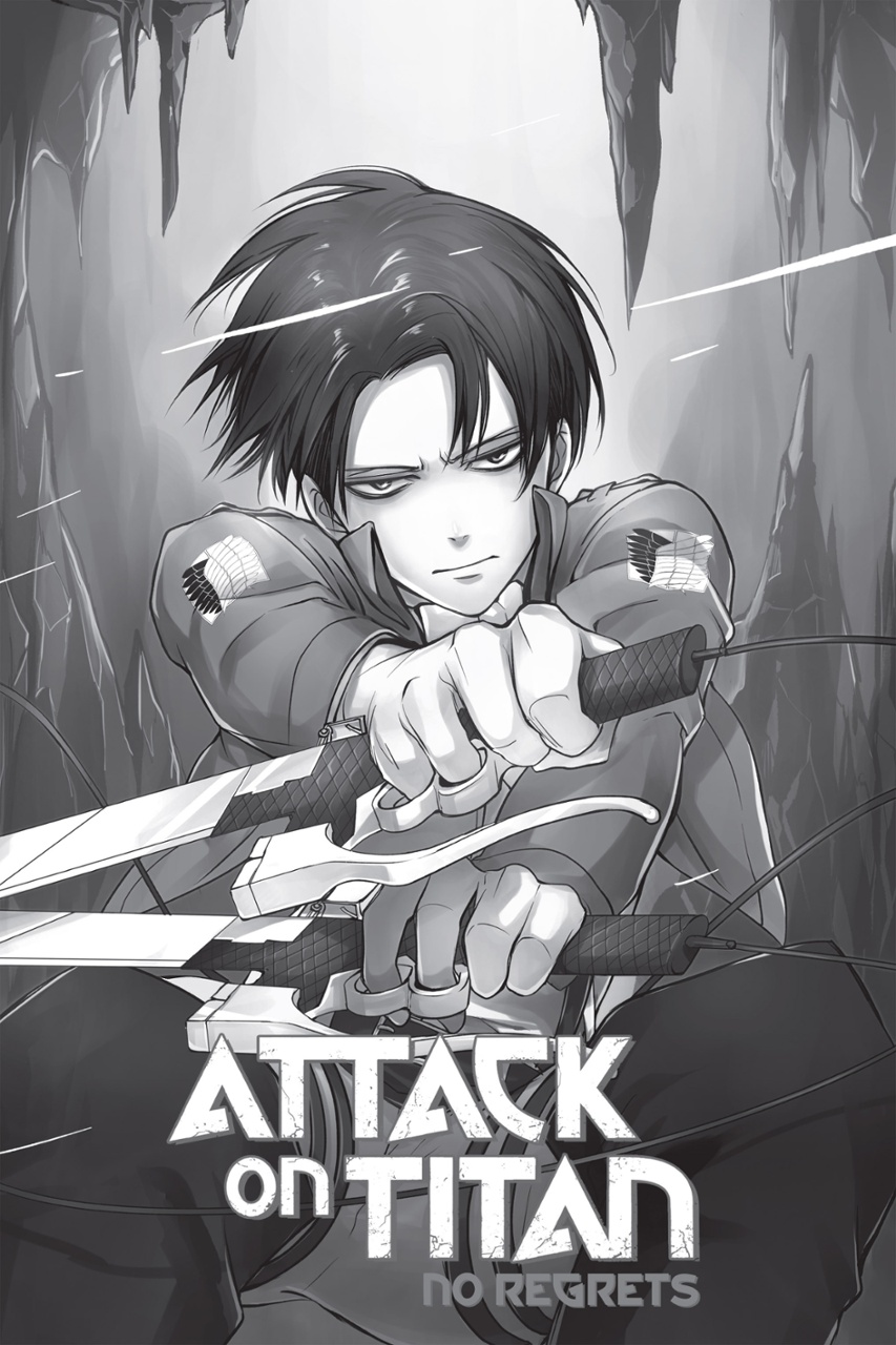 Attack On Titan No Regrets Ger Sub Attack On Titan: No Regrets 1 (English Edition) - FAHASA.COM