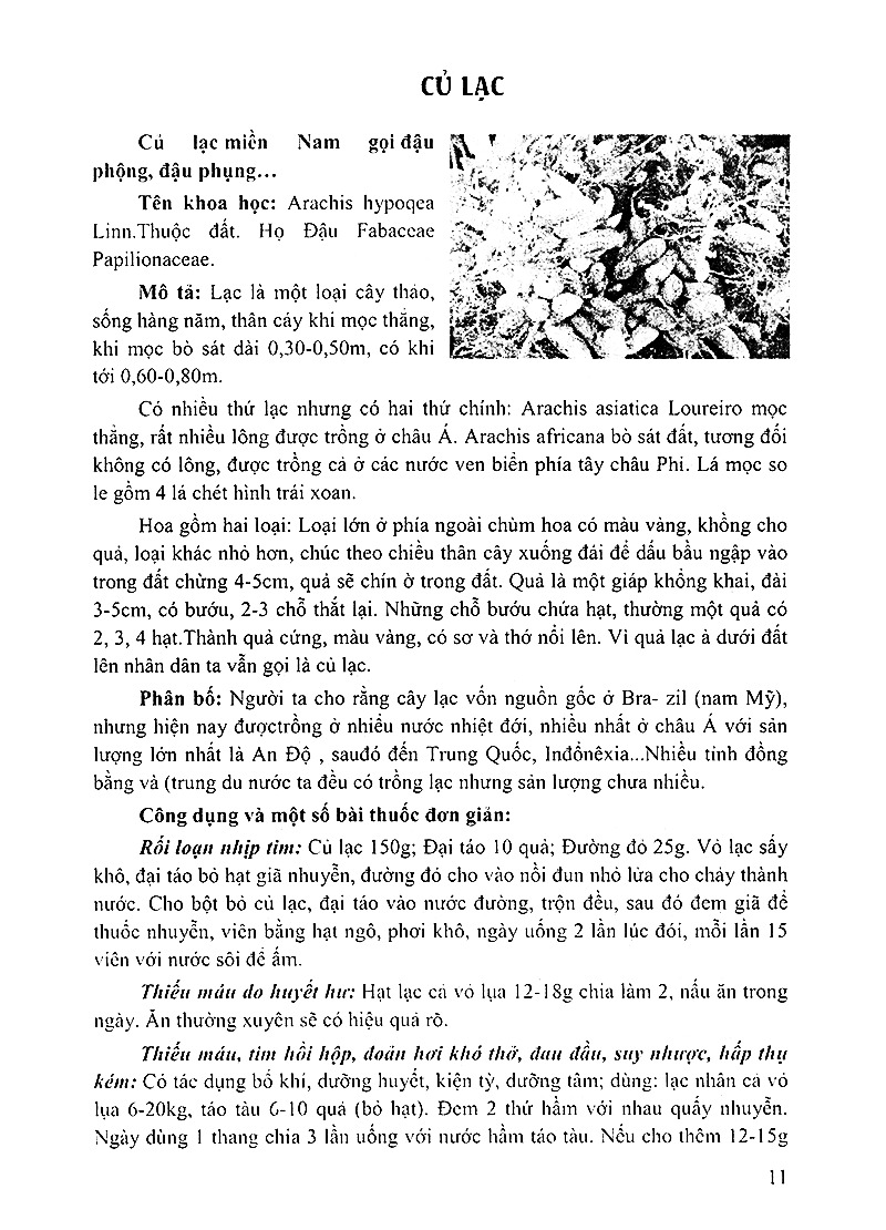 Bách Khoa Những Cây Thuốc Và Vị Thuốc Việt Nam PDF đọc ebook online, epub online, nghe sách nói audio miễn phí. Tải sách Bách Khoa Những Cây Thuốc Và Vị Thuốc Việt Nam PDF đọc ebook online, epub online, nghe sách nói audio miễn phí.