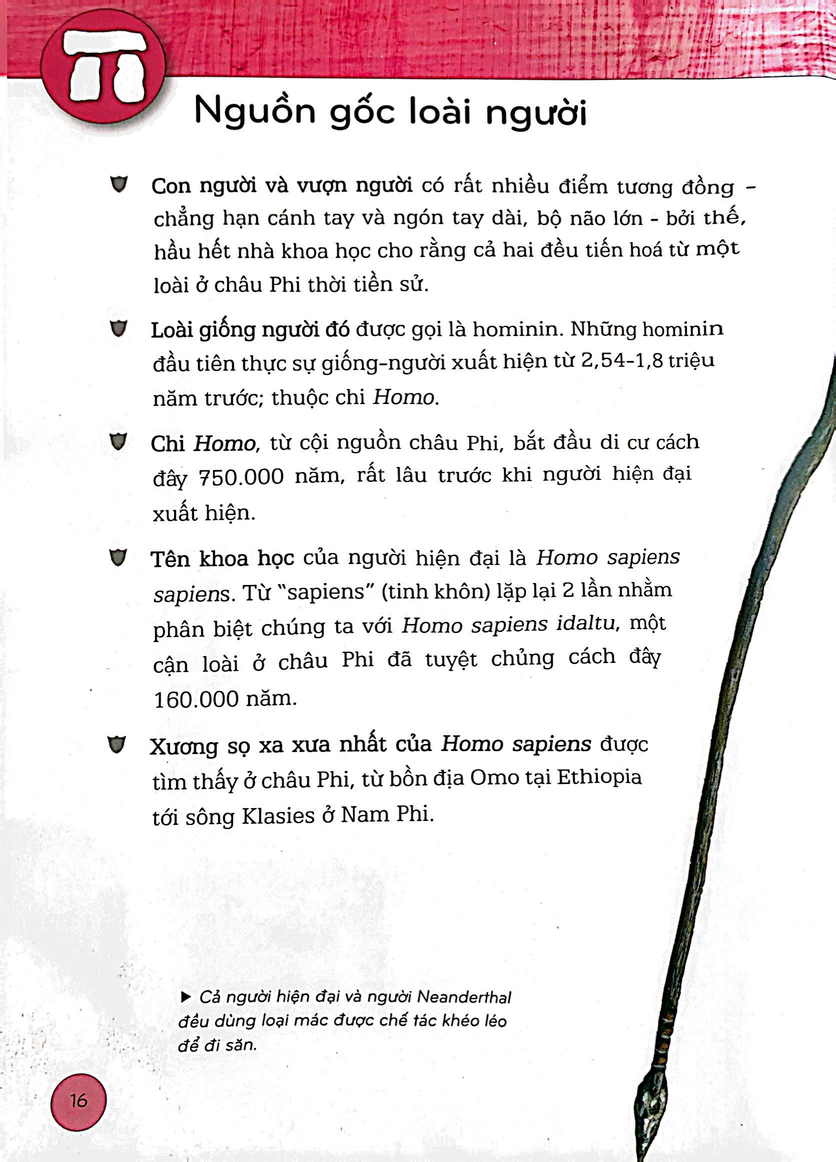 Bách Khoa Thư Lịch Sử - Từ Tiền Sử Đến Thời Đại PDF đọc ebook online, epub online, nghe sách nói audio miễn phí. Bách Khoa Thư Lịch Sử - Từ Tiền Sử Đến Thời Đại PDF đọc ebook online, epub online, nghe sách nói audio miễn phí.