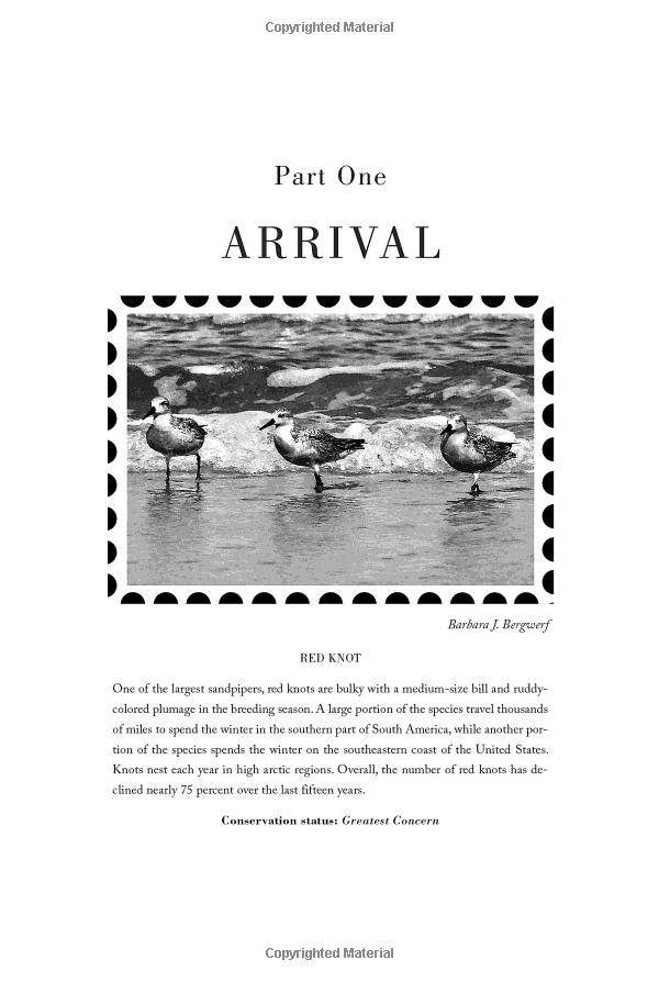 Beach House For Rent