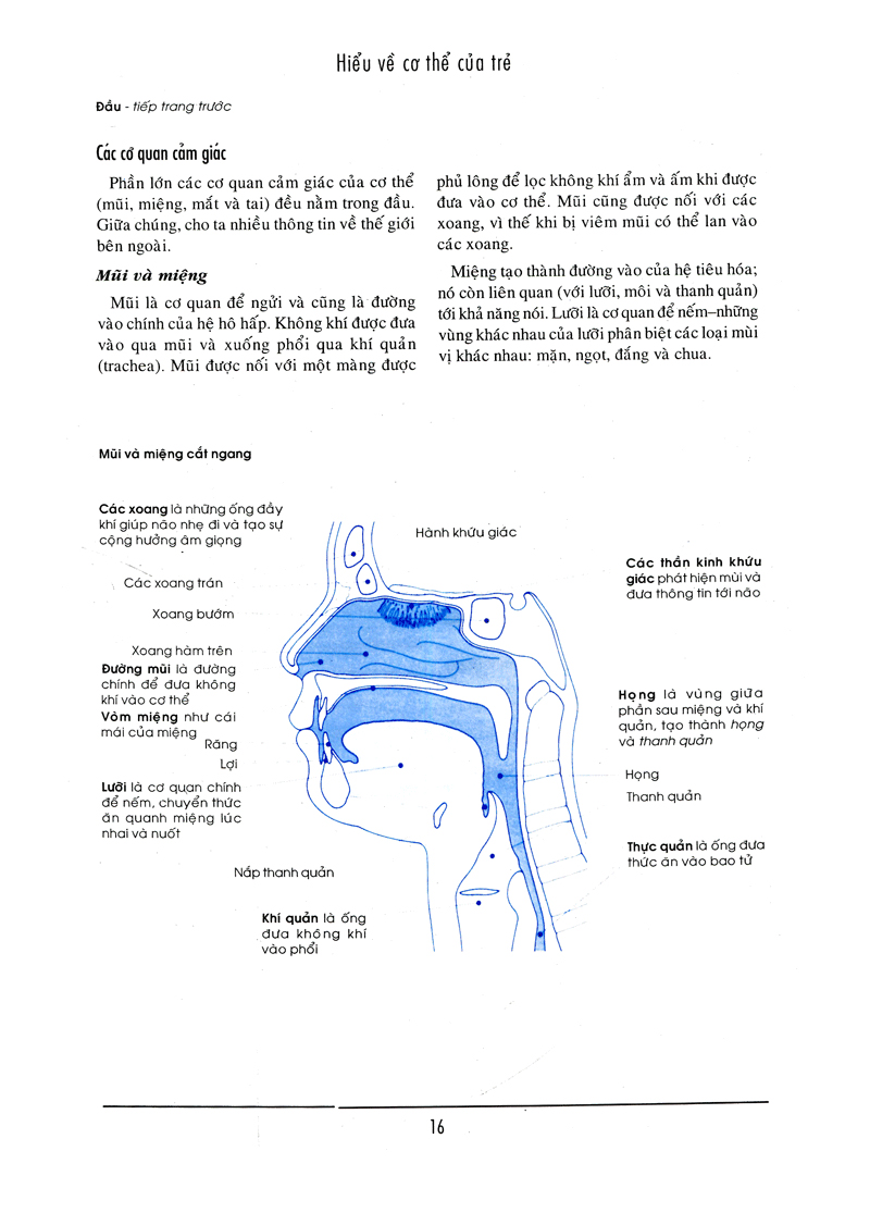 Bên Con Khi Con Đau Bệnh PDF Bên Con Khi Con Đau Bệnh PDF