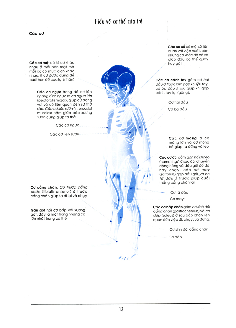 Bên Con Khi Con Đau Bệnh PDF Bên Con Khi Con Đau Bệnh PDF