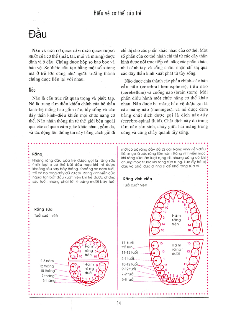 Bên Con Khi Con Đau Bệnh PDF Bên Con Khi Con Đau Bệnh PDF